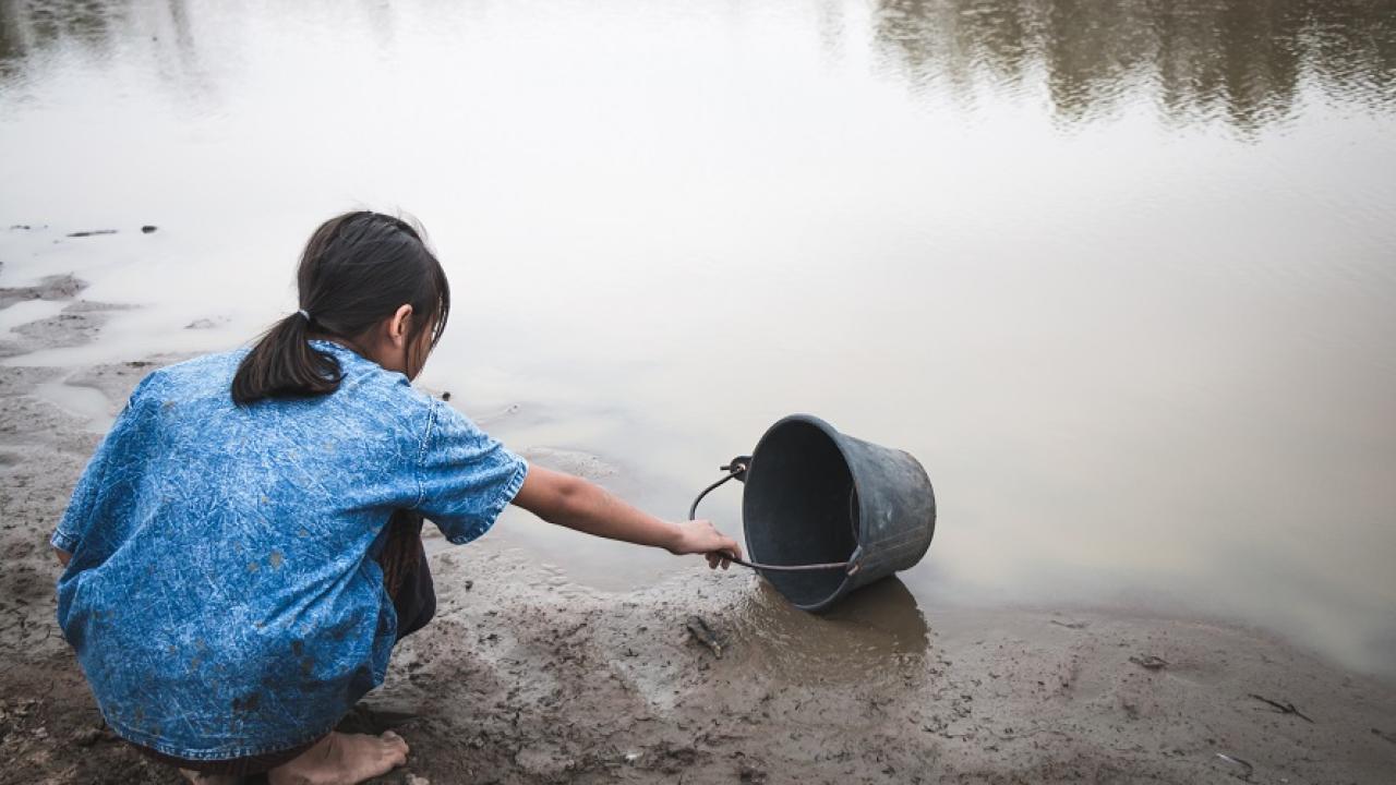 Su ve Orman: Doğanın, Refahın ve Eşitliğin Temel Taşları