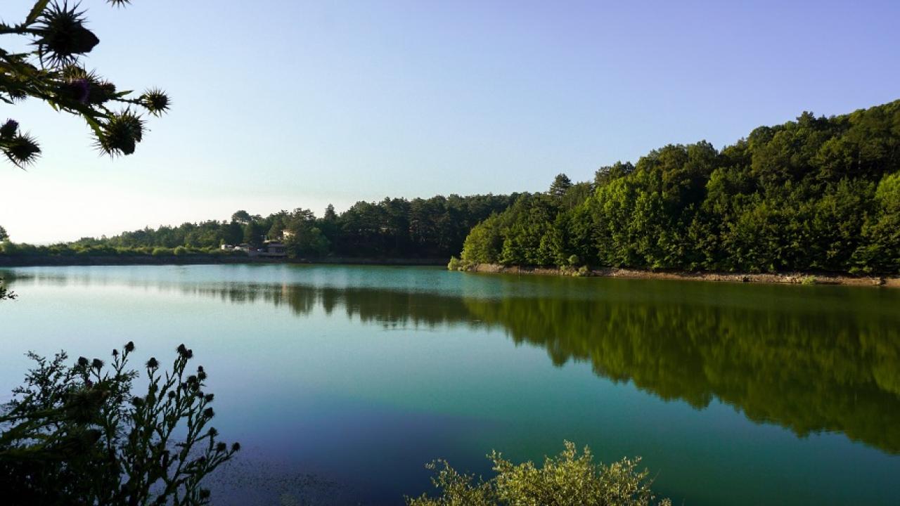 Su ve Orman: Doğanın, Refahın ve Eşitliğin Temel Taşları