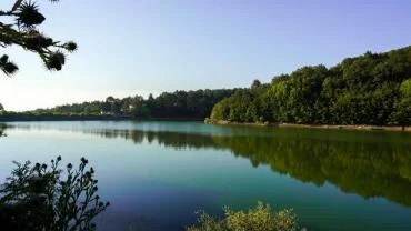 Su ve Orman: Doğanın, Refahın ve Eşitliğin Temel Taşları