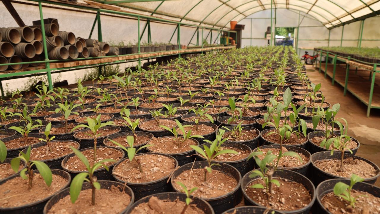 Milyonluk Tasarrufun Adres: Marmaris Belediyesi Seraları