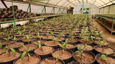 Milyonluk Tasarrufun Adres: Marmaris Belediyesi Seraları