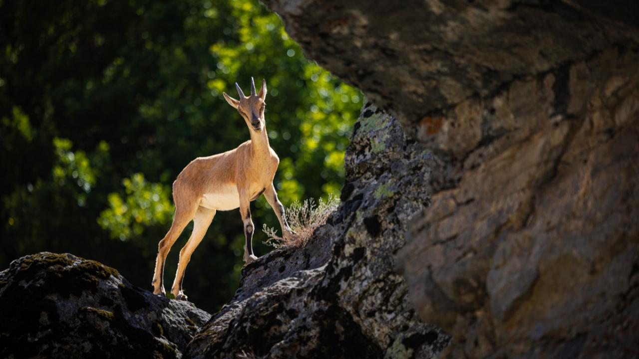 Türkiye Foto muhabirleri derneğinin her yıl düzenledigi Türkiye Güzellikleri yarışması sonuçlandı